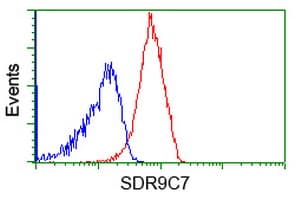 SDR9C7 Antibody (clone OTI6A8)