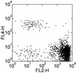 CCR3 Antibody (clone 5E8-G9-B4, APC)