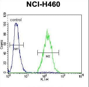 ARL17A Antibody (aa102-130)