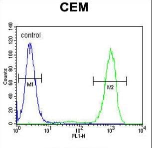 GPM6B Antibody (aa1-30)