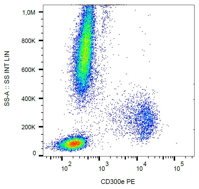 Monoclonal Mouse anti-Human CD300E Antibody (clone UP-H2, PE, WB)