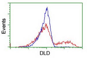 DLD / Diaphorase / E3 Antibody (clone OTI4E11)