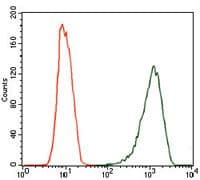 NOS2 / iNOS Antibody (clone 400000)