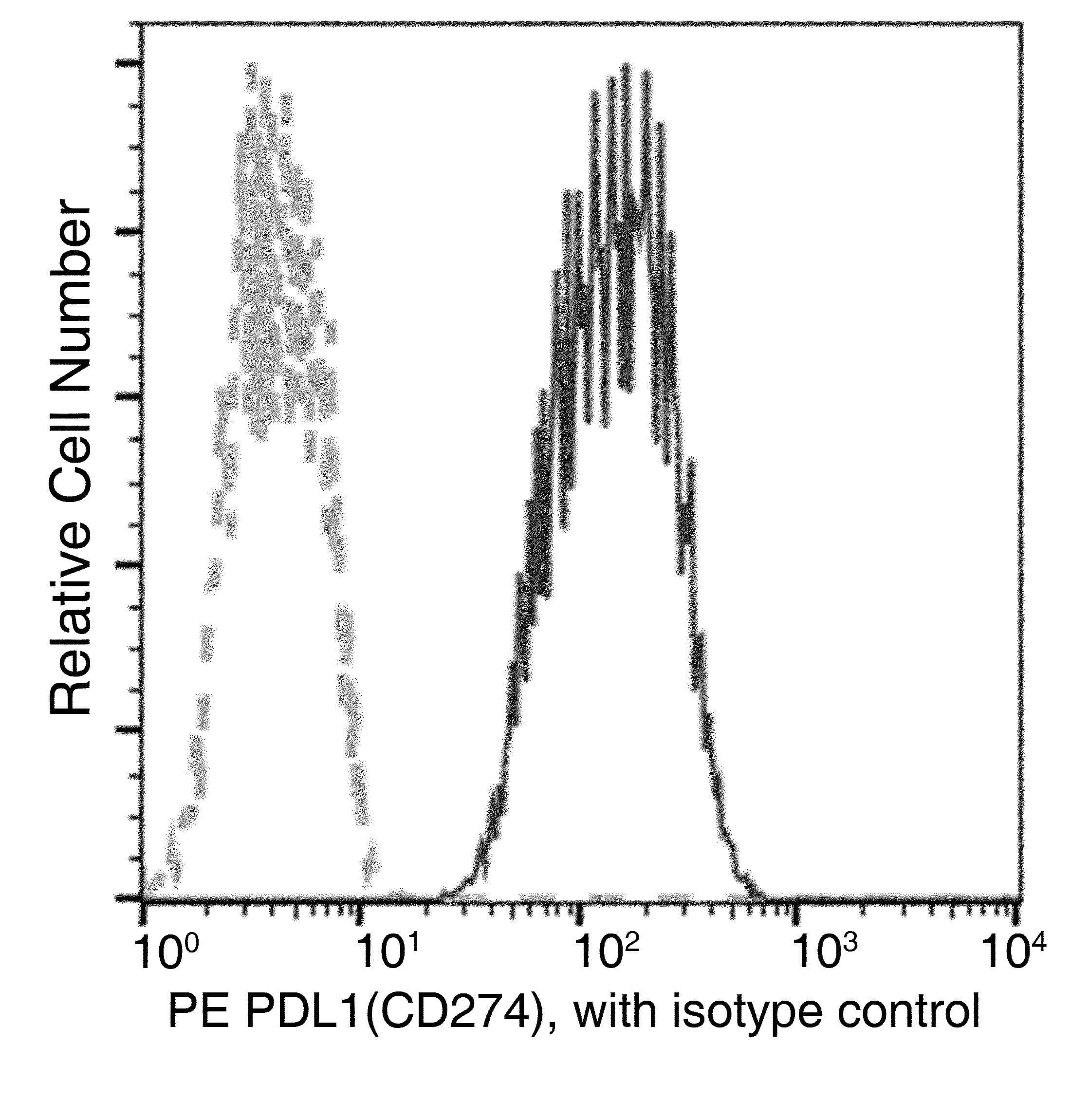 CD274 / B7-H1 / PD-L1 Antibody (clone 611, PE)