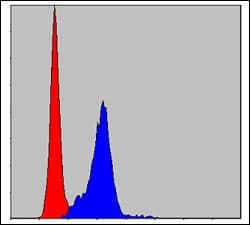 CRK Antibody (clone 3G11E8)