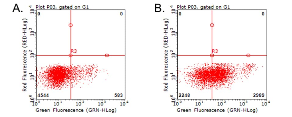 CD274 / B7-H1 / PD-L1 Antibody (aa19-239, clone OTI13G7)