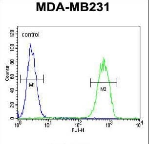 GPA33 / A33 Antibody (aa264-293)