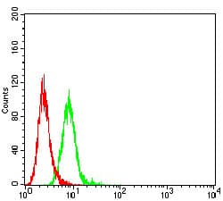 CCR7 Antibody (clone 4B7B8)