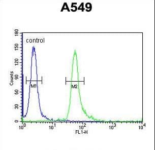 TAGAP Antibody (aa103-129)
