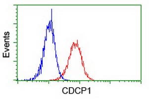 Monoclonal Mouse anti-Human CDCP1 Antibody (clone 5B3, WB)