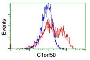 C1orf50 Antibody (clone OTI1C6)
