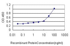 PathPlus™ CBFA1 / RUNX2 Antibody (clone 4D5)