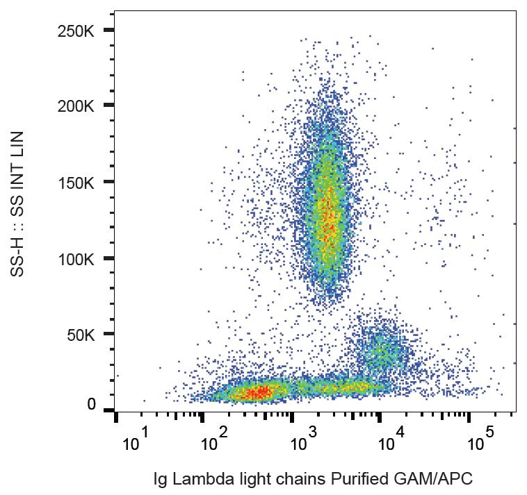 Monoclonal Mouse Anti-Human Lambda Light Chain Secondary Antibody (clone 4C2, IHC)