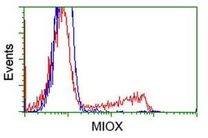 KSP32 / MIOX Antibody (clone OTI1B7)