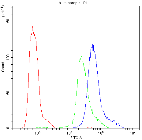 PRKCH / PKC-Eta Antibody (aa30-389)