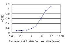 NHP2L1 Antibody (clone 5C5)