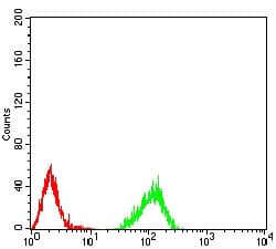 HIST2H4A Antibody (clone 7A2A7)