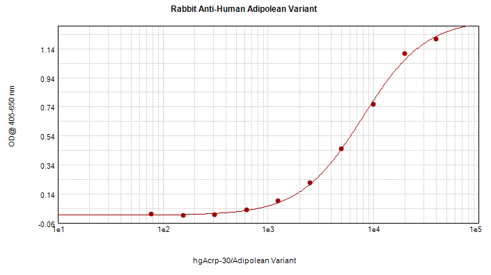 IHC-plus™ Polyclonal Rabbit anti-Human Adiponectin Antibody (IHC, WB)
