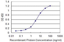 IHC-plus™ TOMM22 / TOM22 Antibody (clone 4G4)