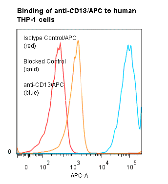 ANPEP / CD13 Antibody (clone 22A5, APC)
