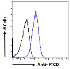 IHC-plus™ FTCD / 58K Golgi Protein Antibody (aa203-216)