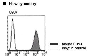 C1qRP / CD93 Antibody (clone mNI-11, PE)