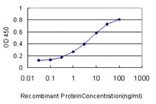 NOTCH3 Antibody (aa47-156, clone 1G5)