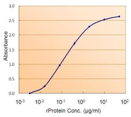 IHC-plus™ SMAD9 Antibody (aa166-179)