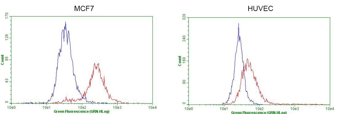 GATA3 Antibody (aa155-443, clone OTI8H4)