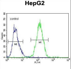 GFER Antibody (aa173-202)