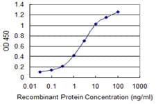 Monoclonal Mouse anti-Human PQBP1 Antibody (clone 3H7, WB)