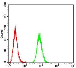 ATPIF1 / ATPI Antibody (clone 1F3B8)