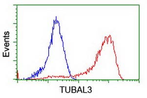 TUBAL3 Antibody (aa150-446, clone OTI1G6, Carrier-free)