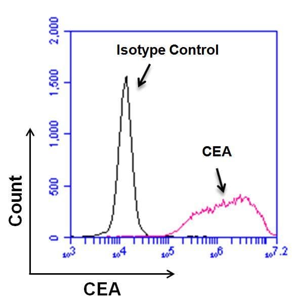 CEACAM5 / CD66e Antibody (clone 1106)