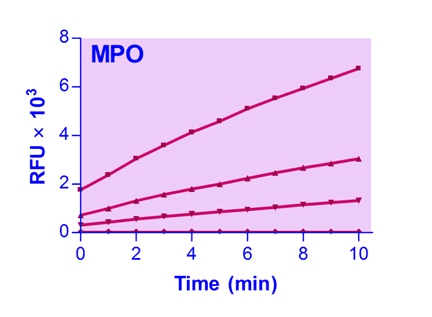 Myeloperoxidase (MPO) Assay Kit (Fluorometric)