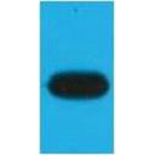 Monoclonal Mouse mOrange Antibody (clone Mix, WB)