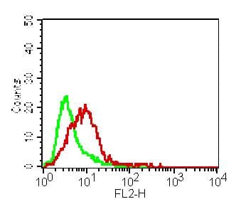 VISA / MAVS Antibody