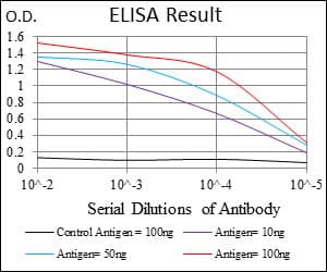GSC / Goosecoid Antibody (aa191-257, clone 4C5D10)