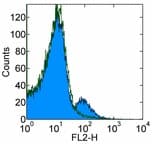 IHC-plus™ CD1D Antibody (clone 51.1)