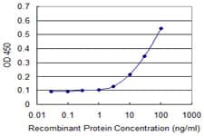 TPT1 / TCTP Antibody (clone 3C7)