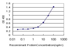 NNMT Antibody (clone 2F2)