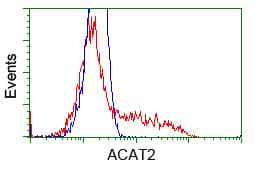 ACAT2 Antibody (clone OTI5A2)