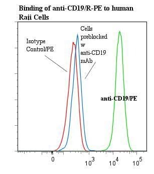 CD19 Antibody (clone BU12, RPE)