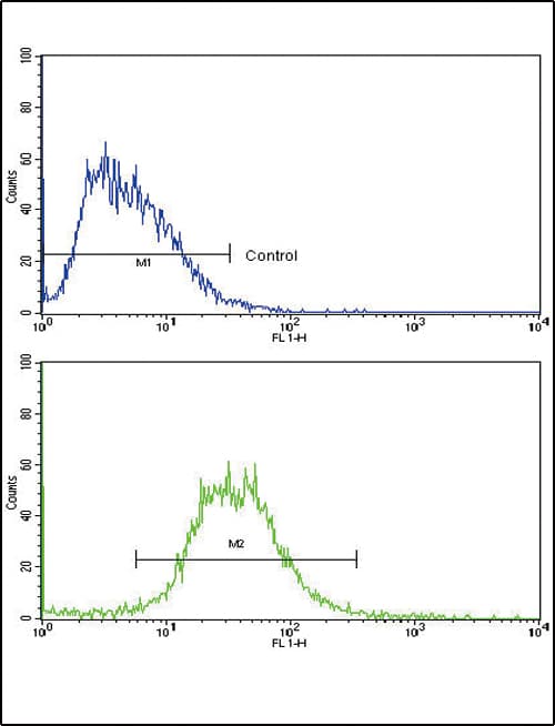 IL17RB Antibody (aa207-234)
