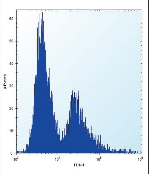 PLOD / PLOD1 Antibody (aa66-94)