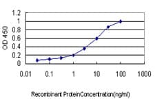 EXT2 Antibody (clone 3G6)