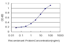 OXSR1 / OSR1 Antibody (clone 3A8)