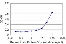 NAB2 Antibody (clone 4H6)
