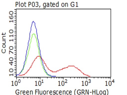 IGF1R / IGF1 Receptor Antibody (aa741-935, clone OTI11E4)