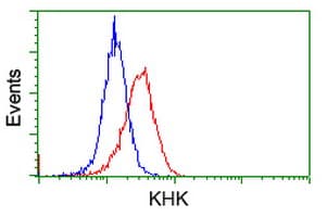 KHK / Ketohexokinase Antibody (clone OTI3D1)